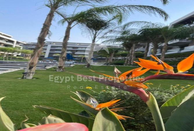 8236797 - صورة العقار 3