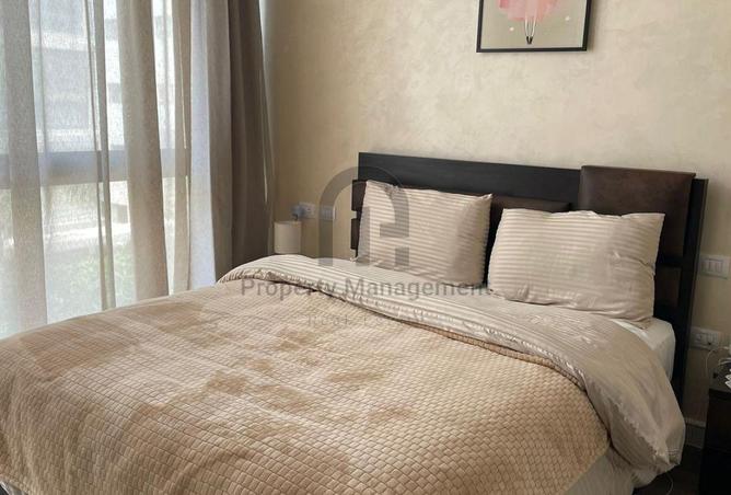 8108464 - Property Image 3
