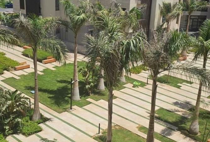 8440221 - صورة العقار 3