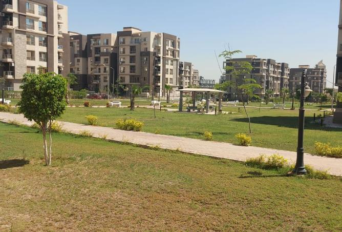 8294219 - الصورة الرئيسية للعقار