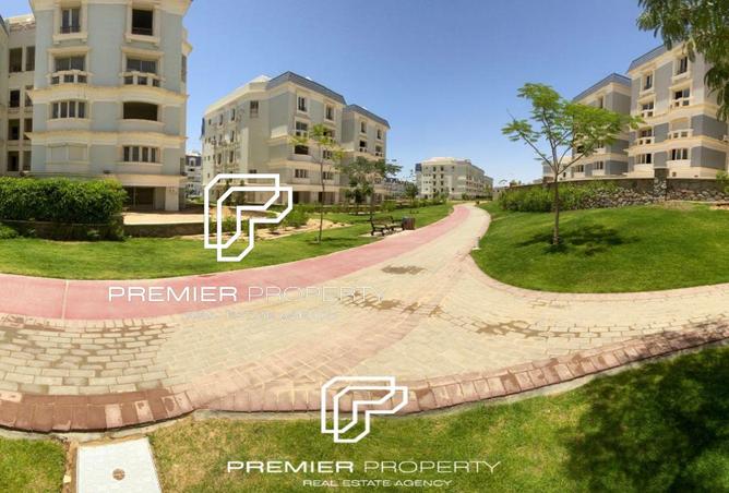 8233866 - Property Image 3