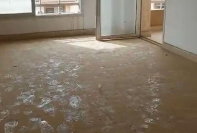 8522163 - Property Image 3