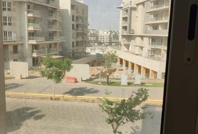 8024950 - Property Image 3