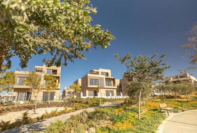 8081531 - الصورة الرئيسية للعقار