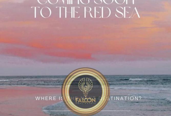 8262609 - Property Image 3