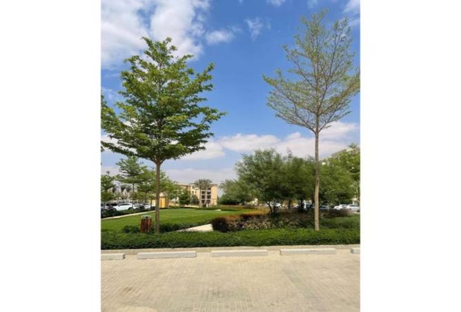 8326001 - Property Image 2