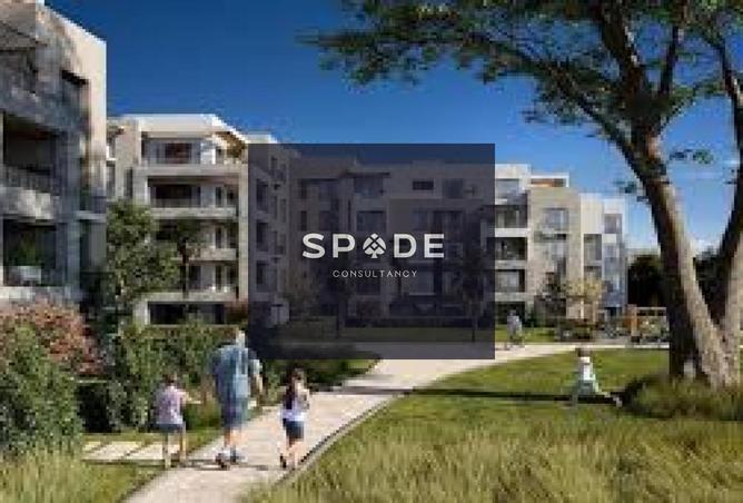 8302623 - Property Image 3