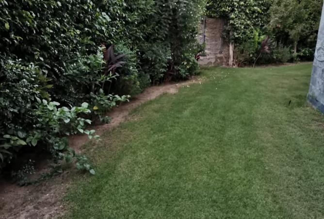 8385474 - الصورة الرئيسية للعقار