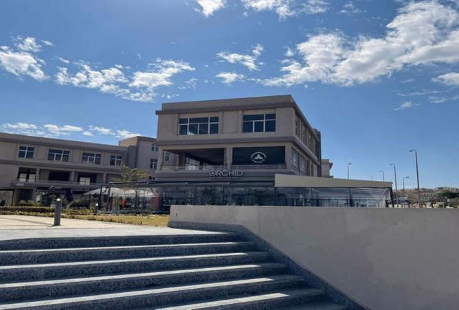 8425612 - Property Image 3