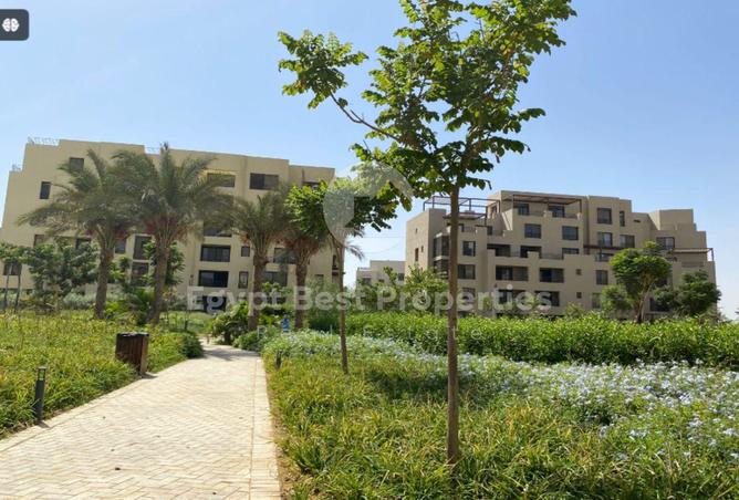 8070073 - صورة العقار 3
