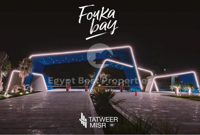7969080 - صورة العقار 3