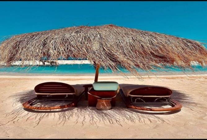 8515402 - Property Image 3