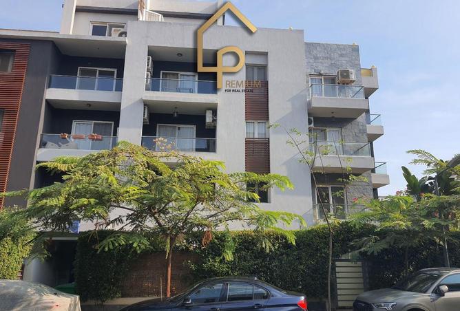 8169186 - صورة العقار 3