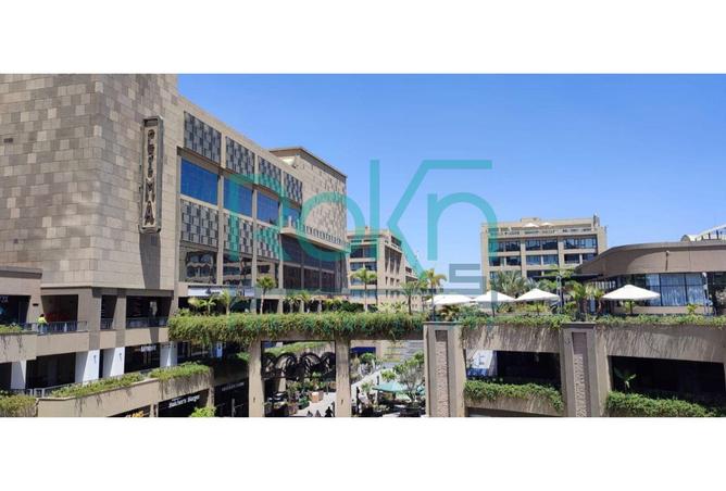 8397777 - Property Image 2