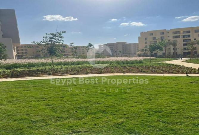 8319287 - صورة العقار 2