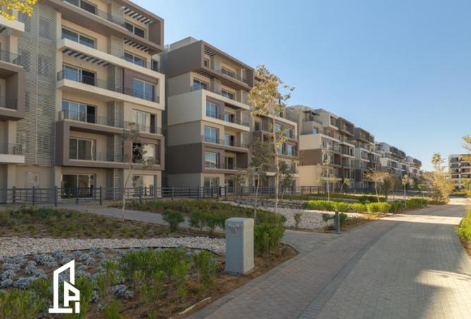 8367295 - Property Image 2