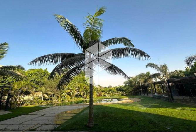 8245540 - Property Image 2