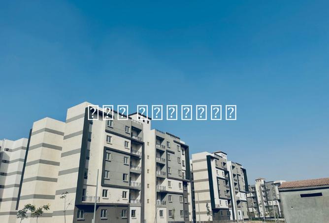 8049652 - Property Image 2