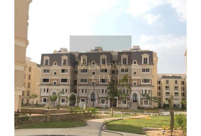 7981086 - صورة العقار 3