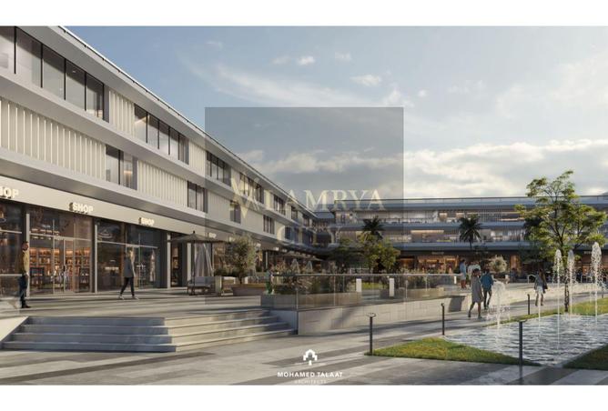 8467775 - Property Image 2