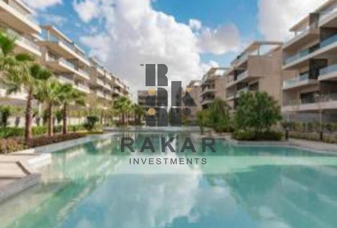 8127383 - Property Image 3