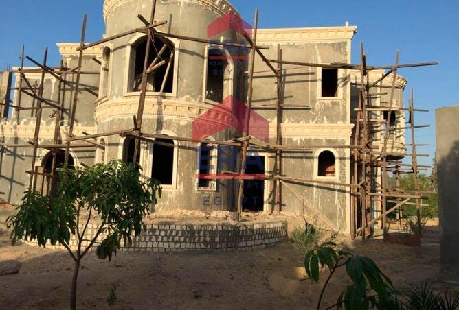 8225445 - صورة العقار 3