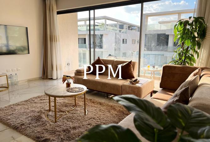 8439194 - Property Image 2