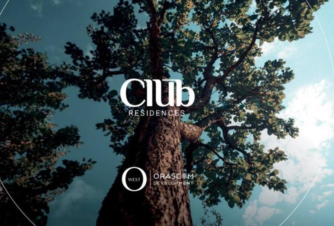 8543406 - الصورة الرئيسية للعقار