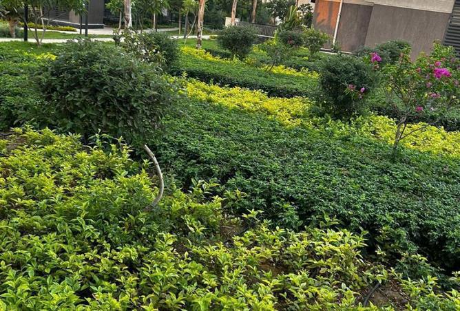 7910417 - صورة العقار 3