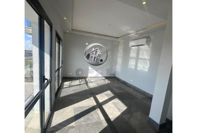 8097210 - Property Image 2