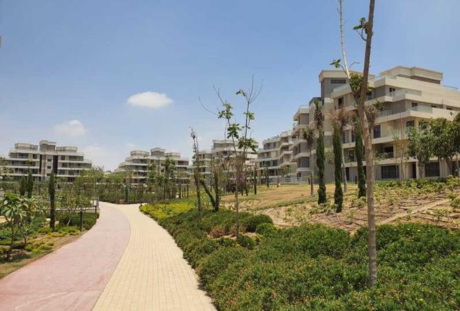 8042828 - الصورة الرئيسية للعقار