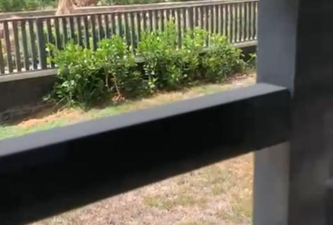 8266550 - Property Image 3