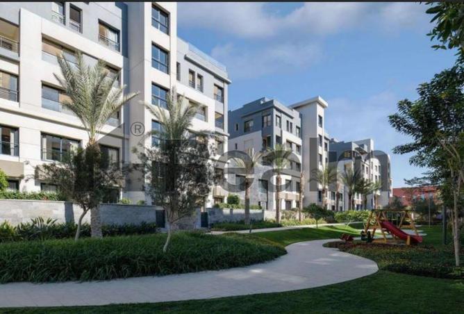 8437843 - Property Image 3