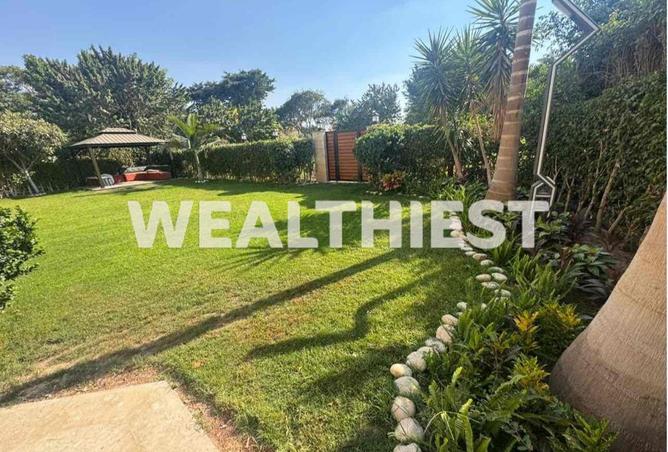 8518410 - Property Image 3