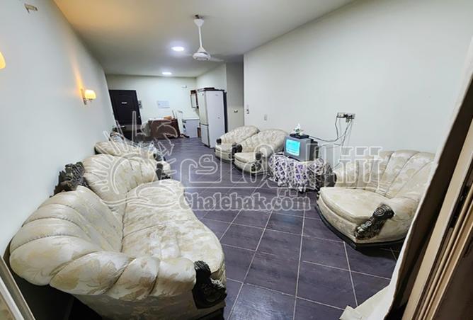 8076261 - Property Image 3