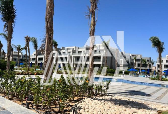 8098798 - Property Image 2