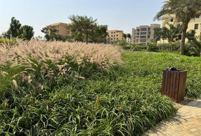 7896927 - صورة العقار 2