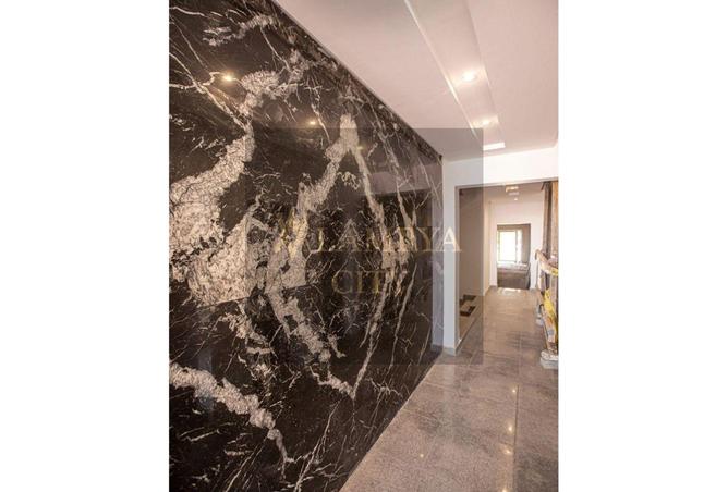 8547719 - Property Image 3