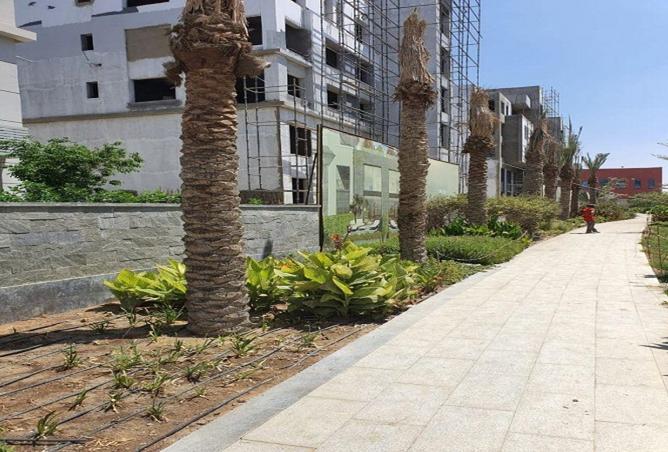 8440785 - صورة العقار 2