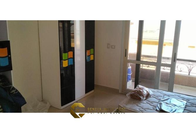 8135503 - Property Image 2