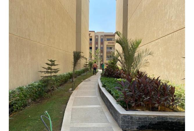 8009708 - صورة العقار 3