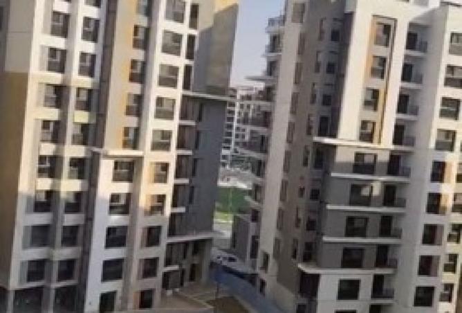 8169522 - صورة العقار 2