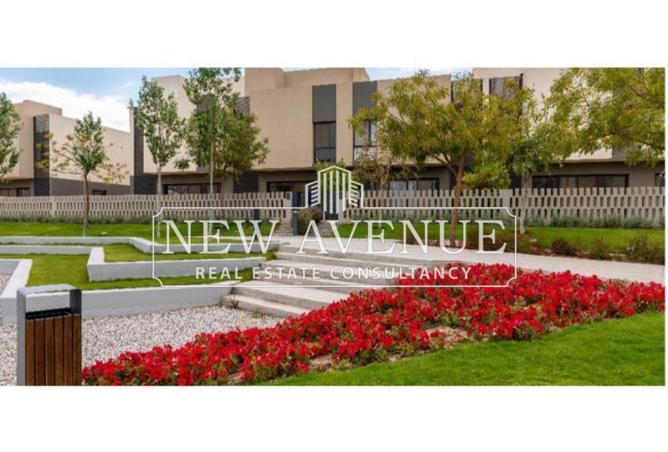 8436203 - Property Image 3