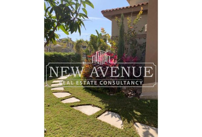 7896644 - Property Image 2