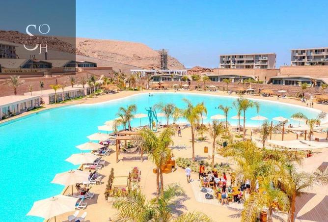 8240597 - Property Image 3