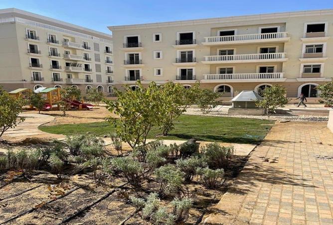 8073231 - صورة العقار 3