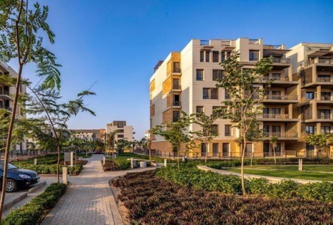 8248707 - Property Image 3