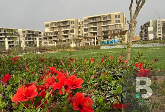 8186165 - Property Main Image