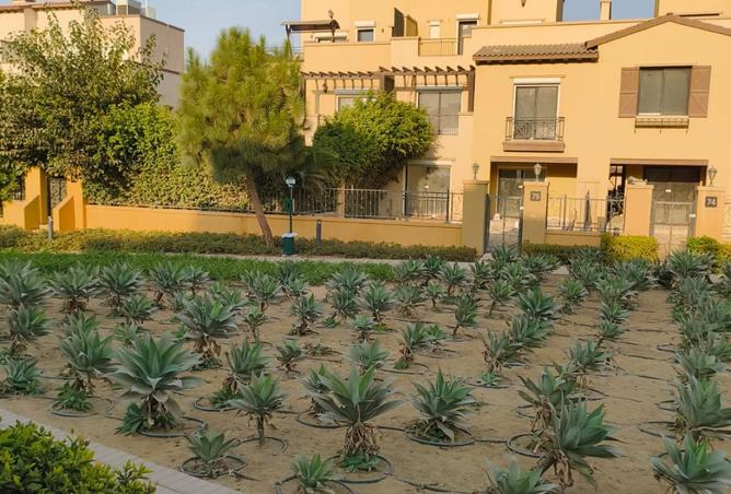 8239945 - الصورة الرئيسية للعقار