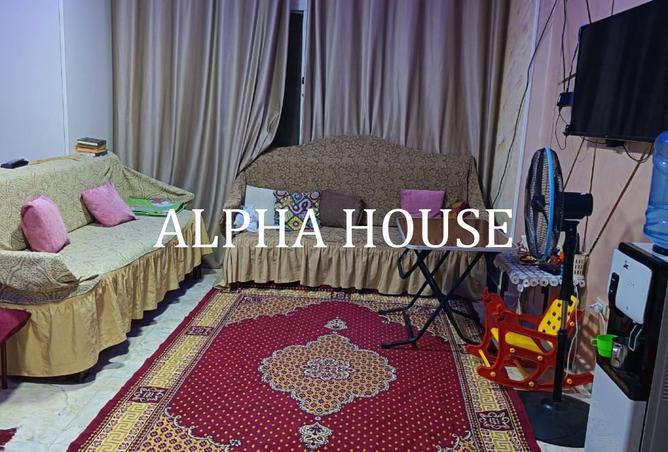 8159579 - Property Image 3